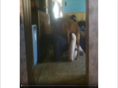 On hidden video, a zoophile saw a teenager getting raped by her dog.